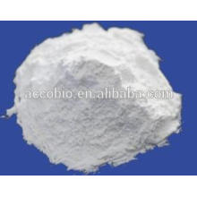 pure natural hot sell L-Carnitine Base Powder